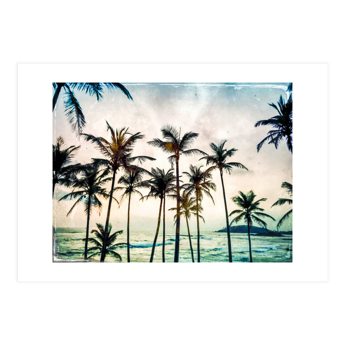 No Palm Trees (Print Only)