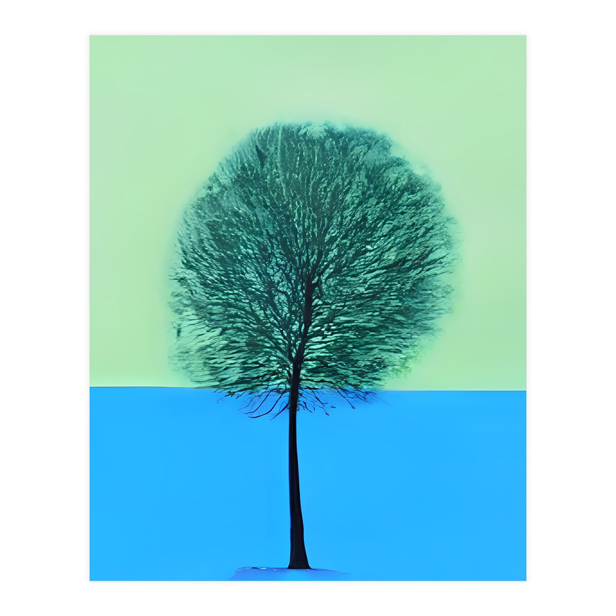 Tree in the snow  (Print Only)