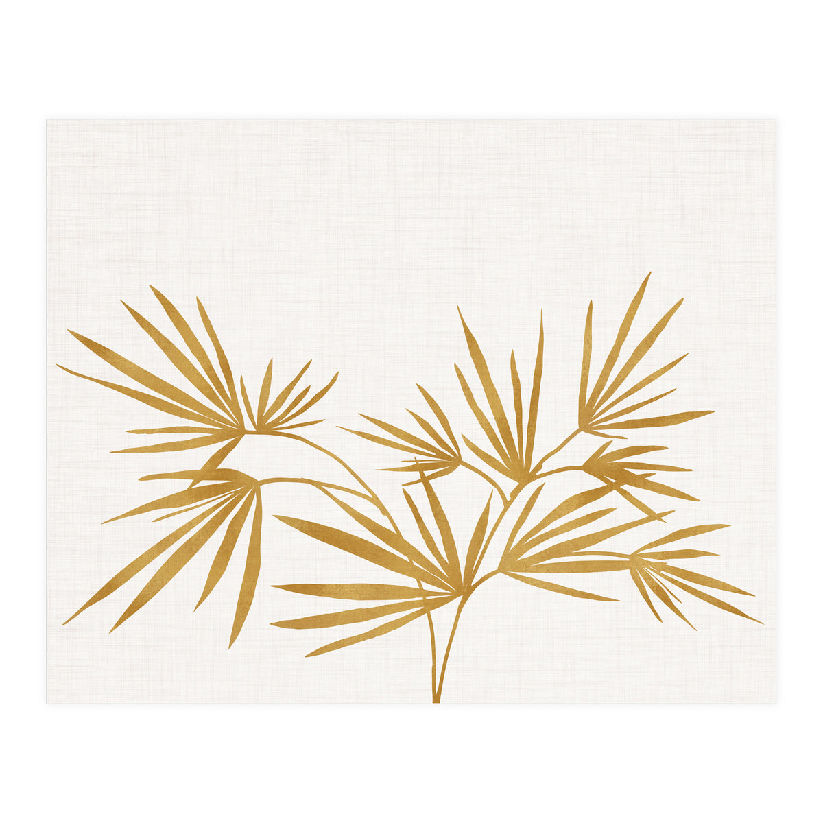Golden Fan Palm (Print Only)