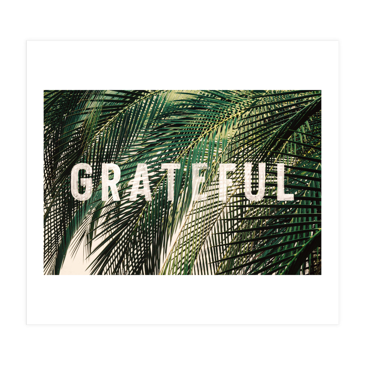 Grateful  (Print Only)