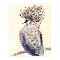 Crowned Pigeon (Print Only)