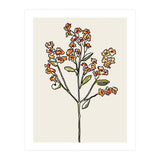 Bunch IV (Print Only) thumbnail