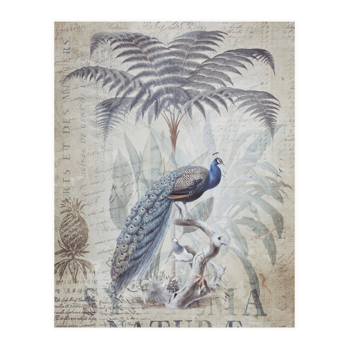 Peacock Jungle (Print Only)