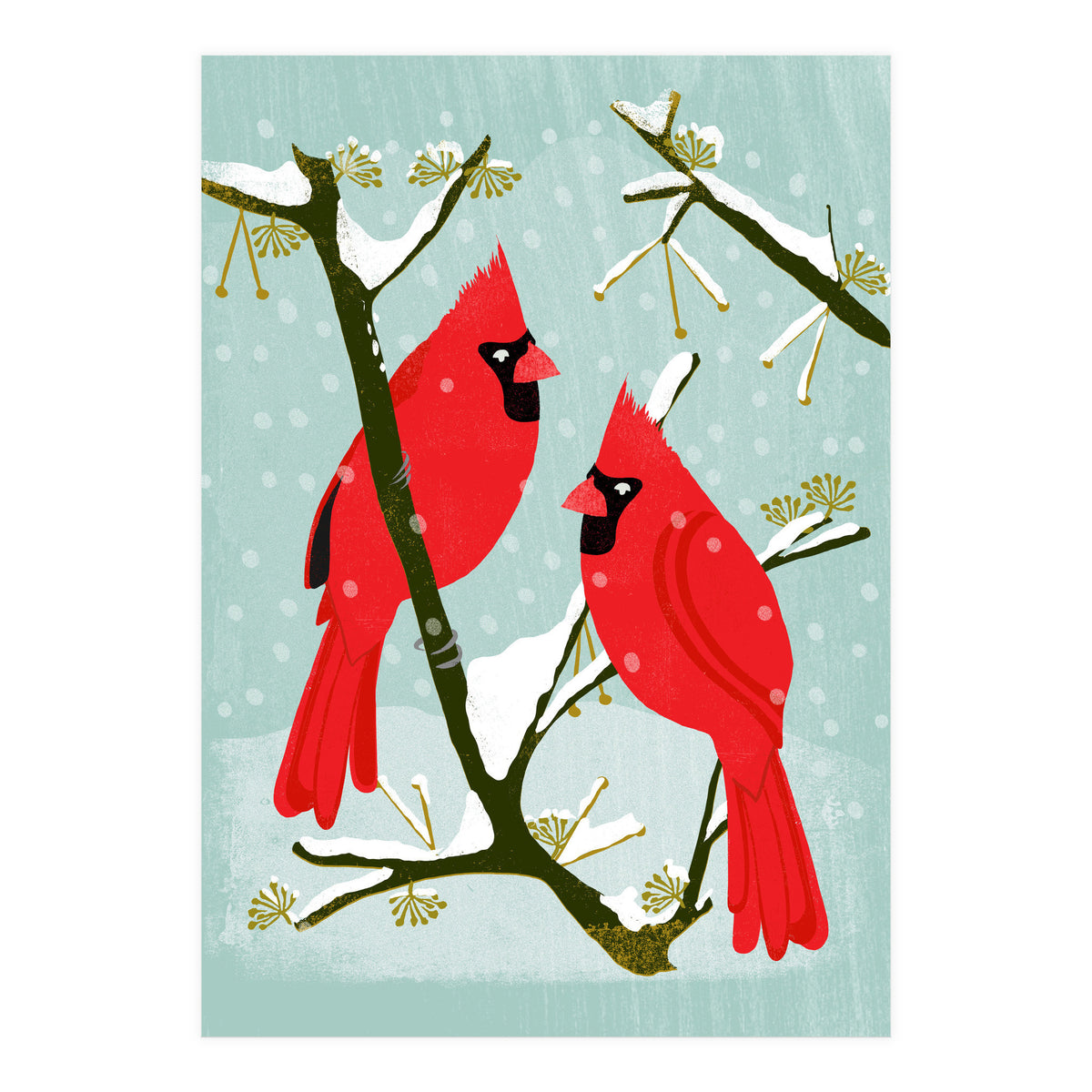 Cardinal (Print Only)