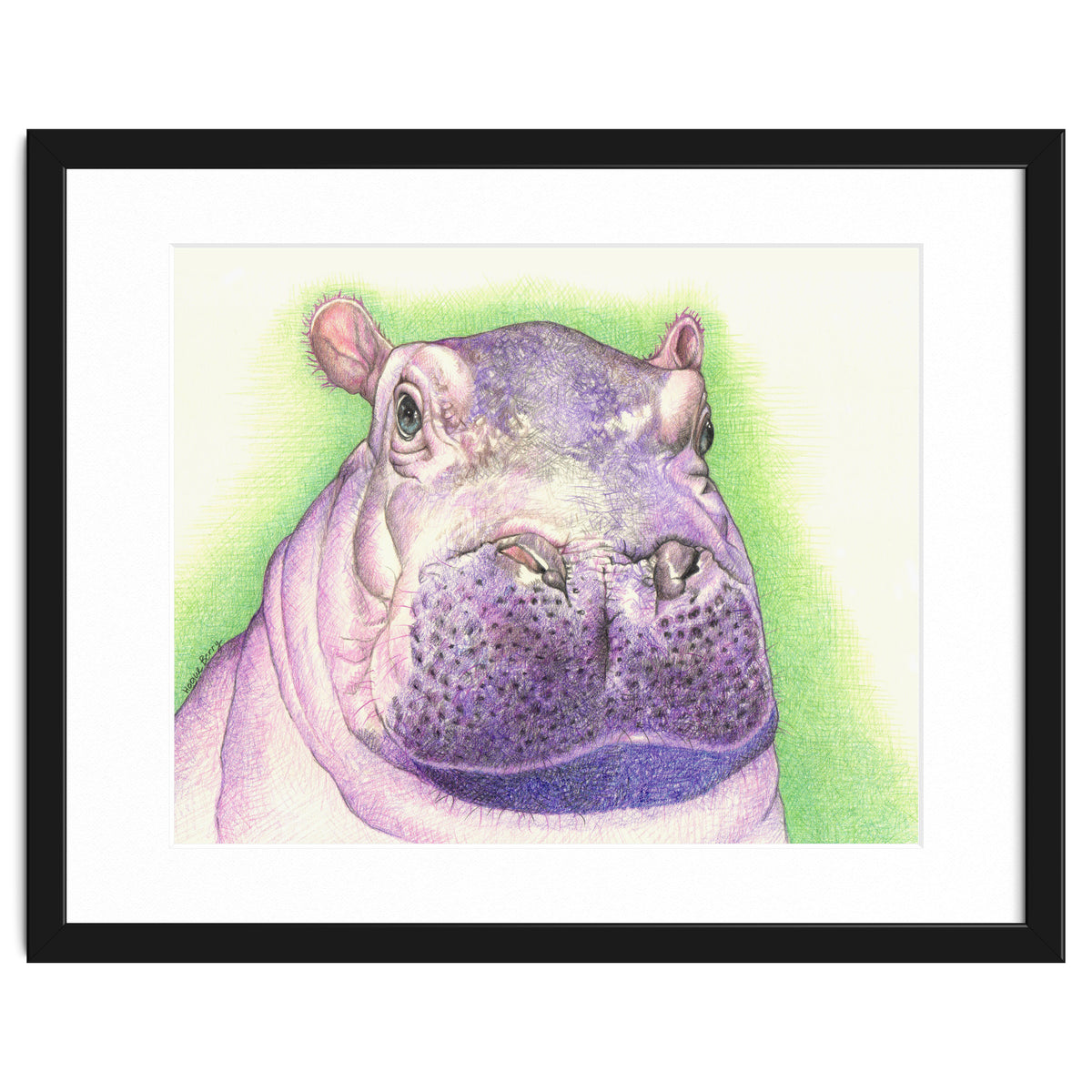 Purple Hippo