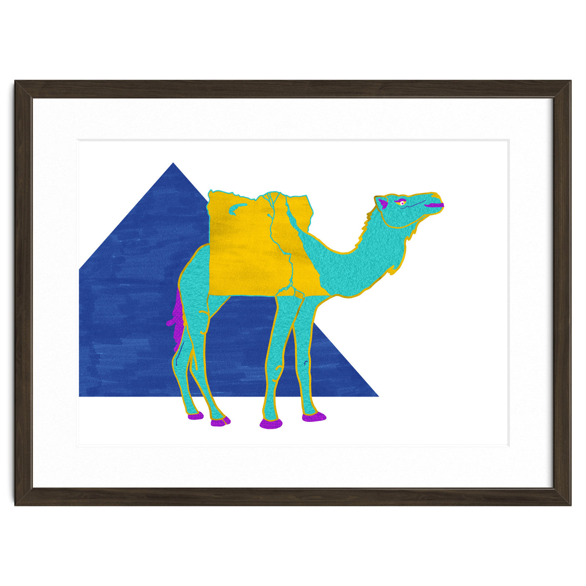 Egyptian Dromedary