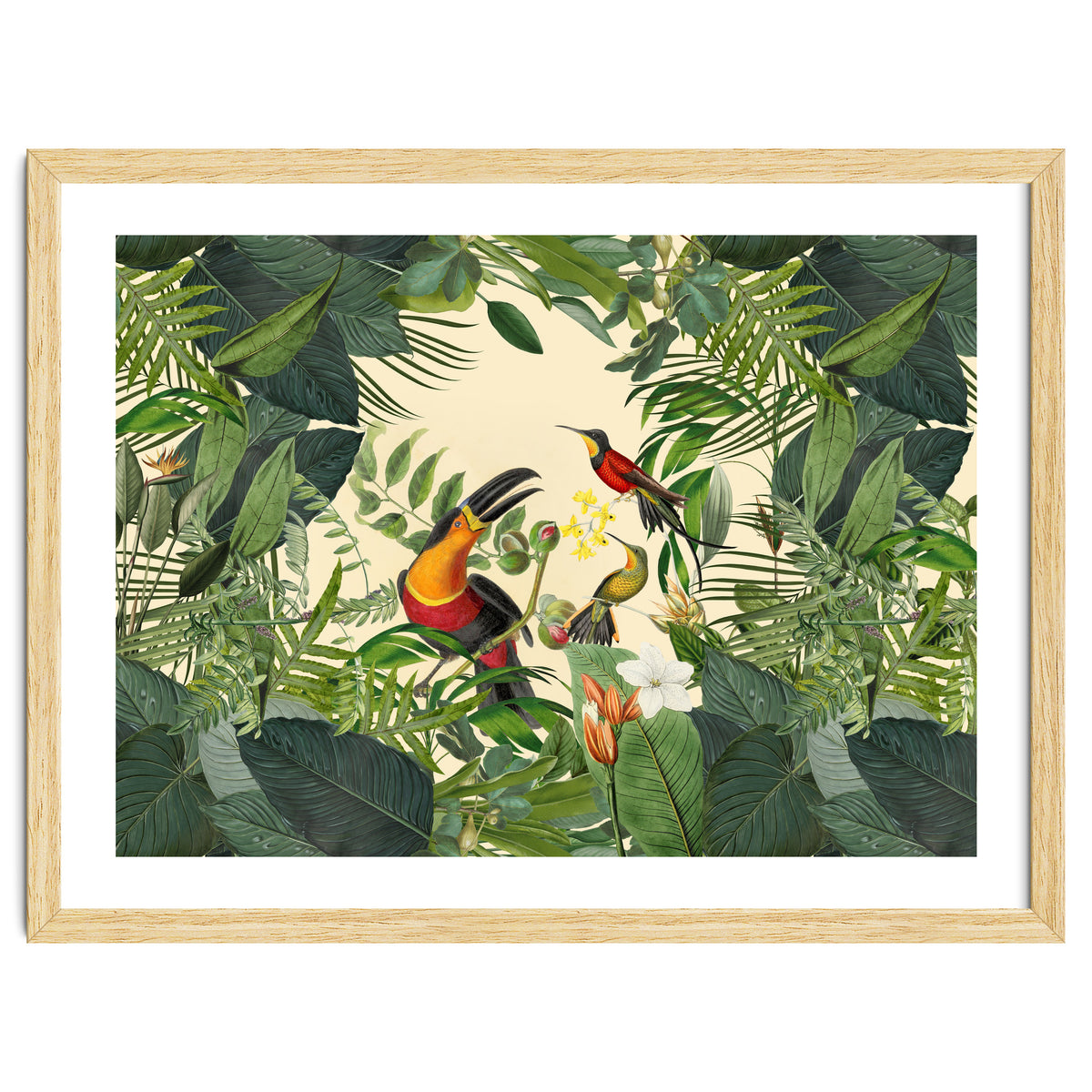 Green Jungle Toucans 2