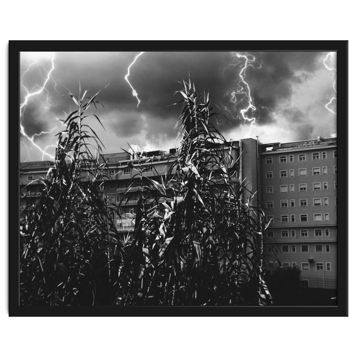 Thunderstorm in Tivoli