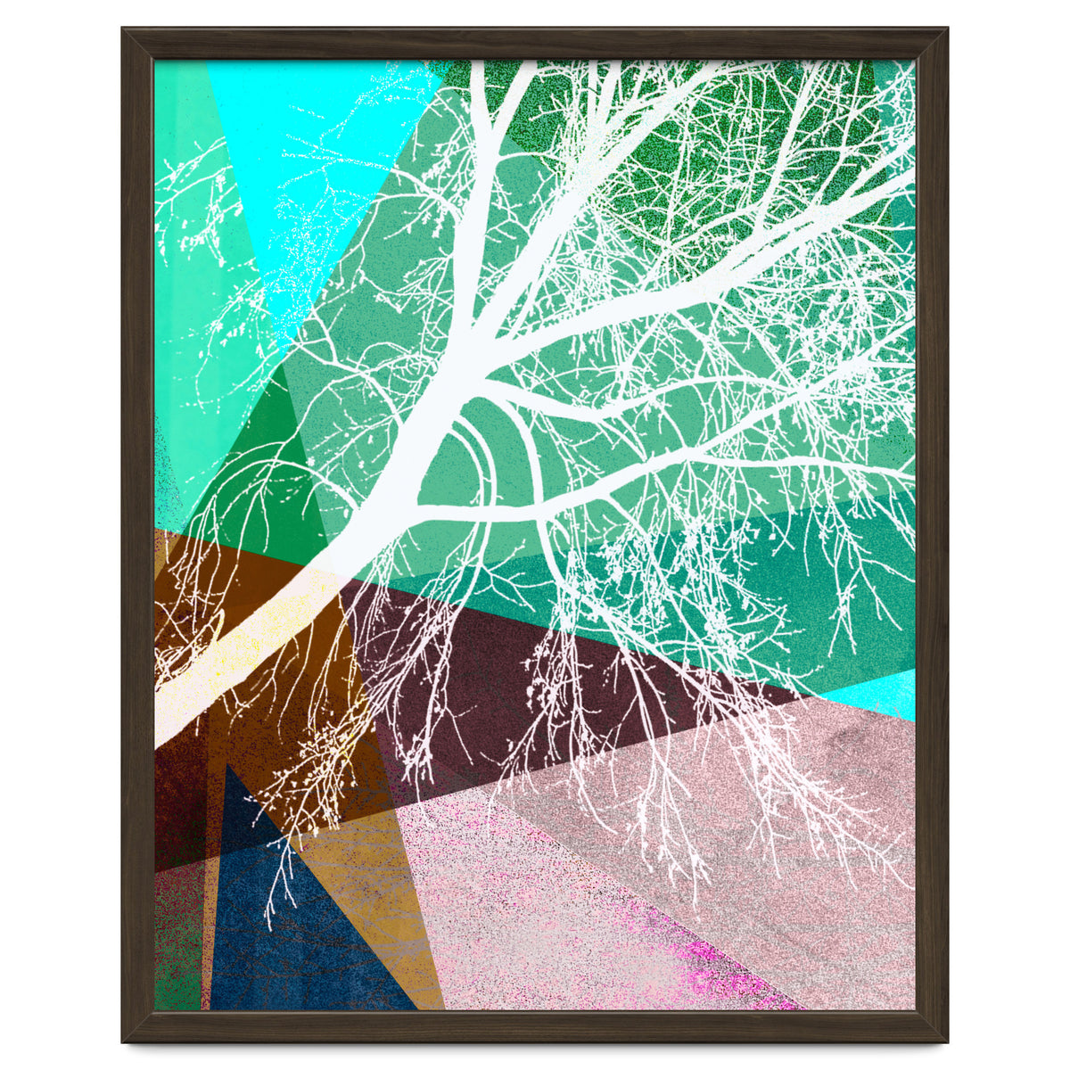 P16-H Trees And Triangles