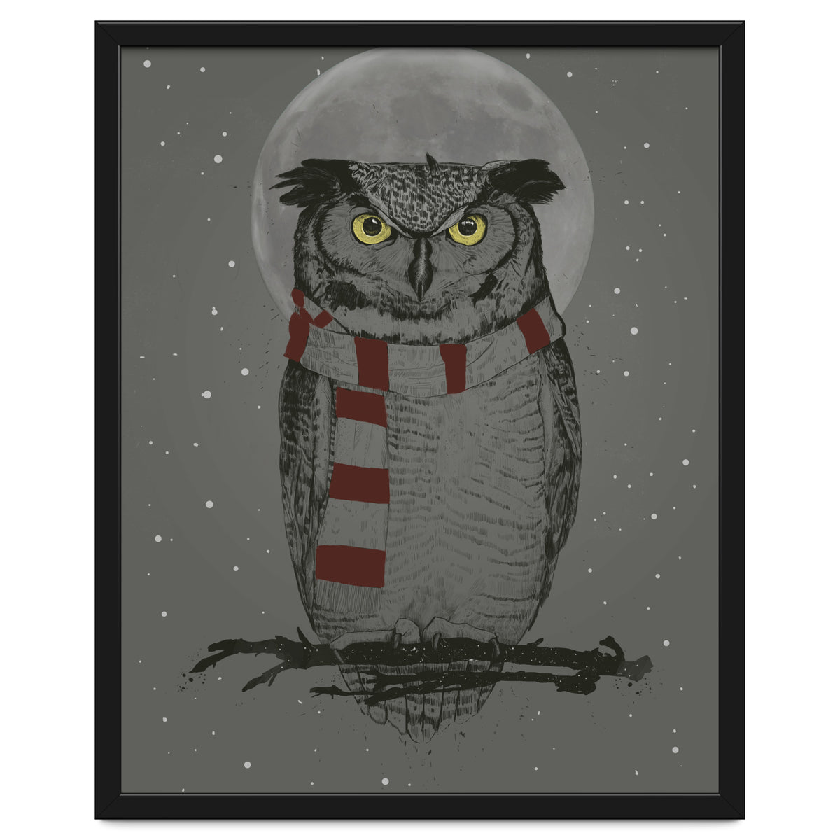 Winter Owl
