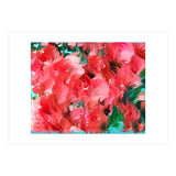 The Eternal Bloom Of The Spirit (Print Only) thumbnail