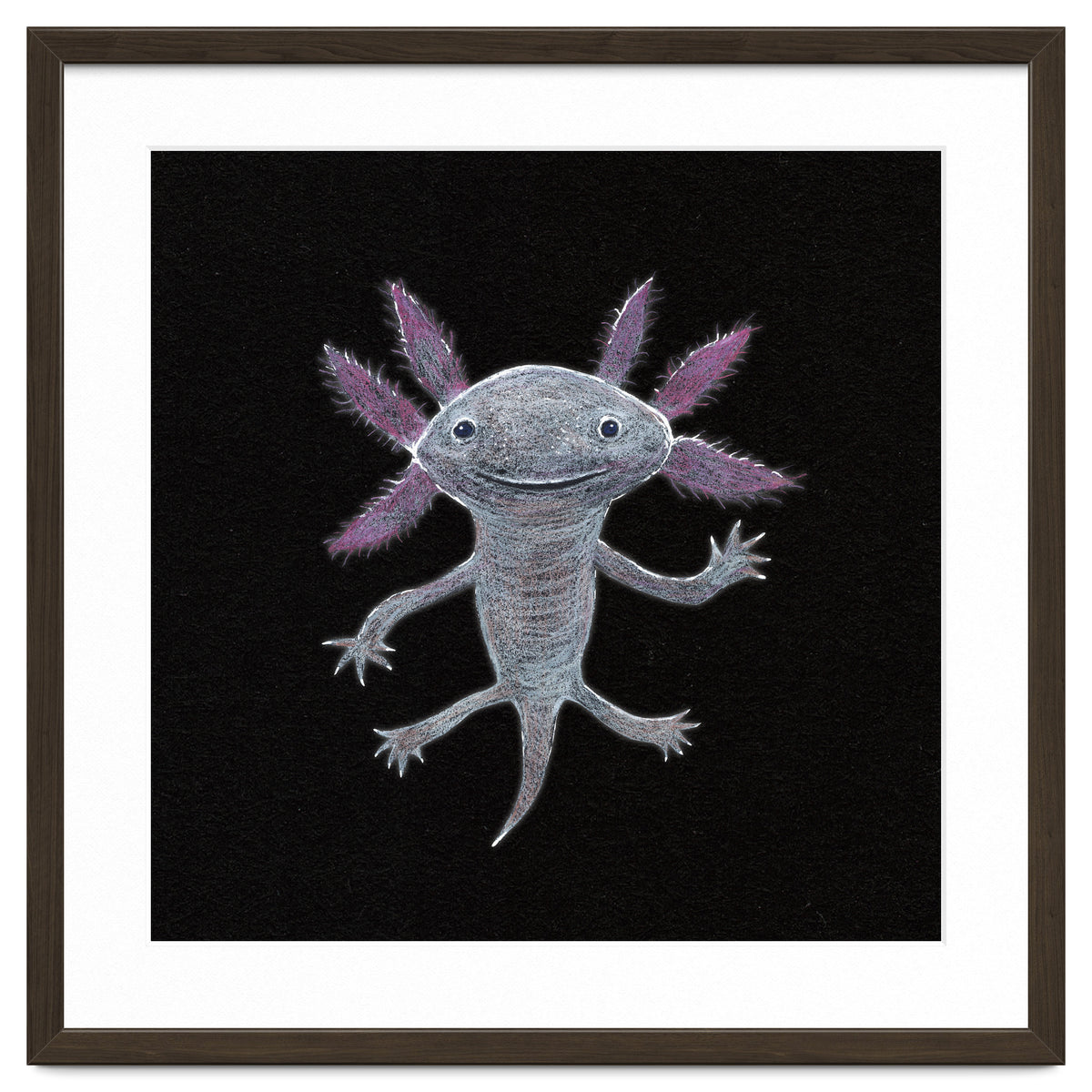 Axolotl