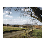 Bucolism 1 (Print Only) thumbnail