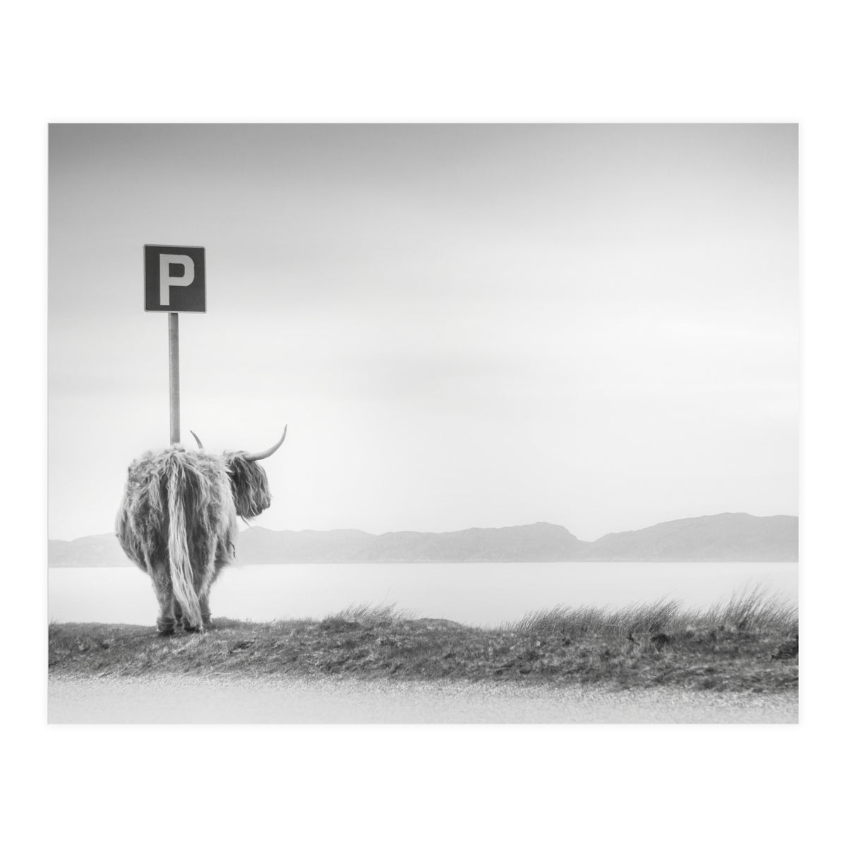 Highland Visitor (Print Only)