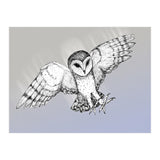 Attacking barn owl (Print Only) thumbnail