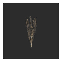 Delicate Fynbos Botanicals in Gold and Black - Square (Print Only)