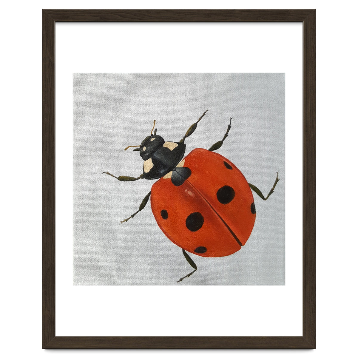 Ladybird