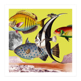 Plenty Of Fish In The Sea Yellow (Print Only) thumbnail