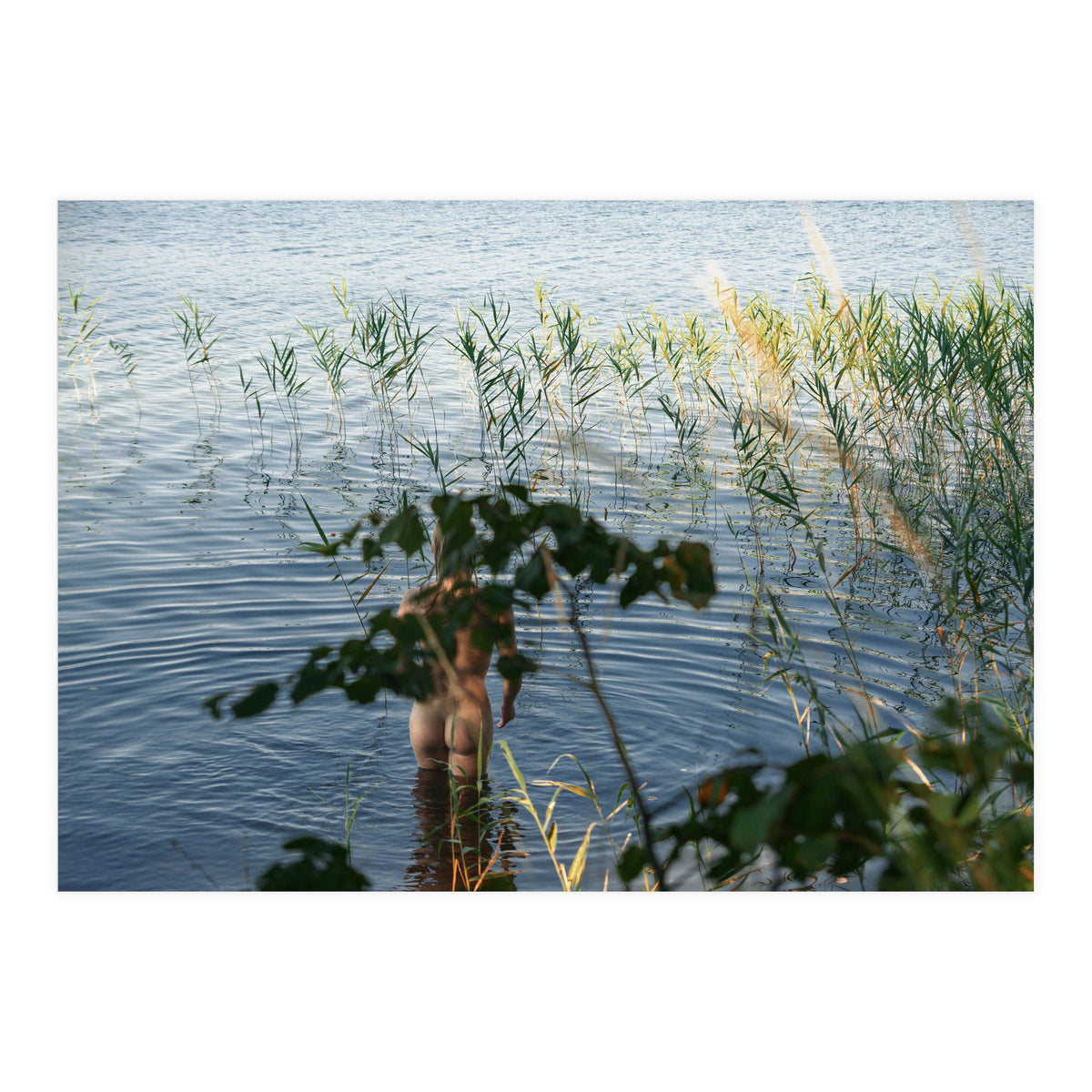 One, Two, Three (Print Only)