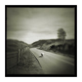 Gesto (Print Only) thumbnail