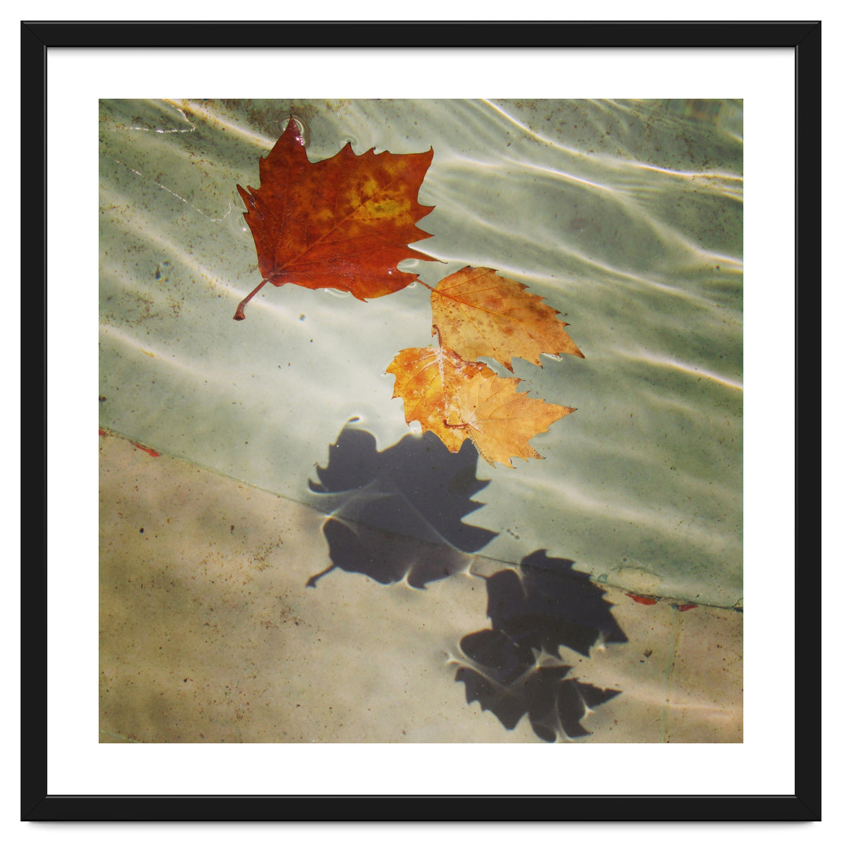 Floating leaves