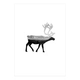 30 (Print Only) thumbnail
