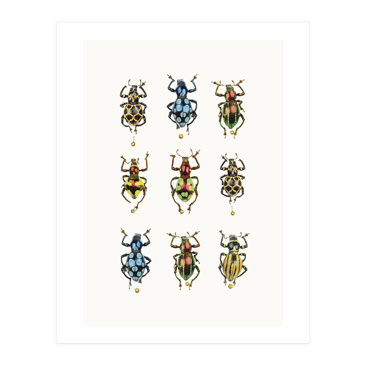 Cc Insects 05 (Print Only)