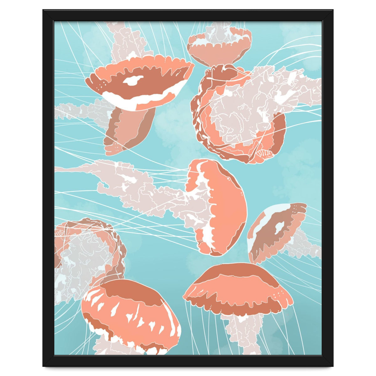 Jellyfish