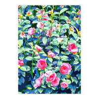 Winter Rose | Botanical Floral Garden | Boho Vintage Plants Meadow Roses Painting (Print Only)