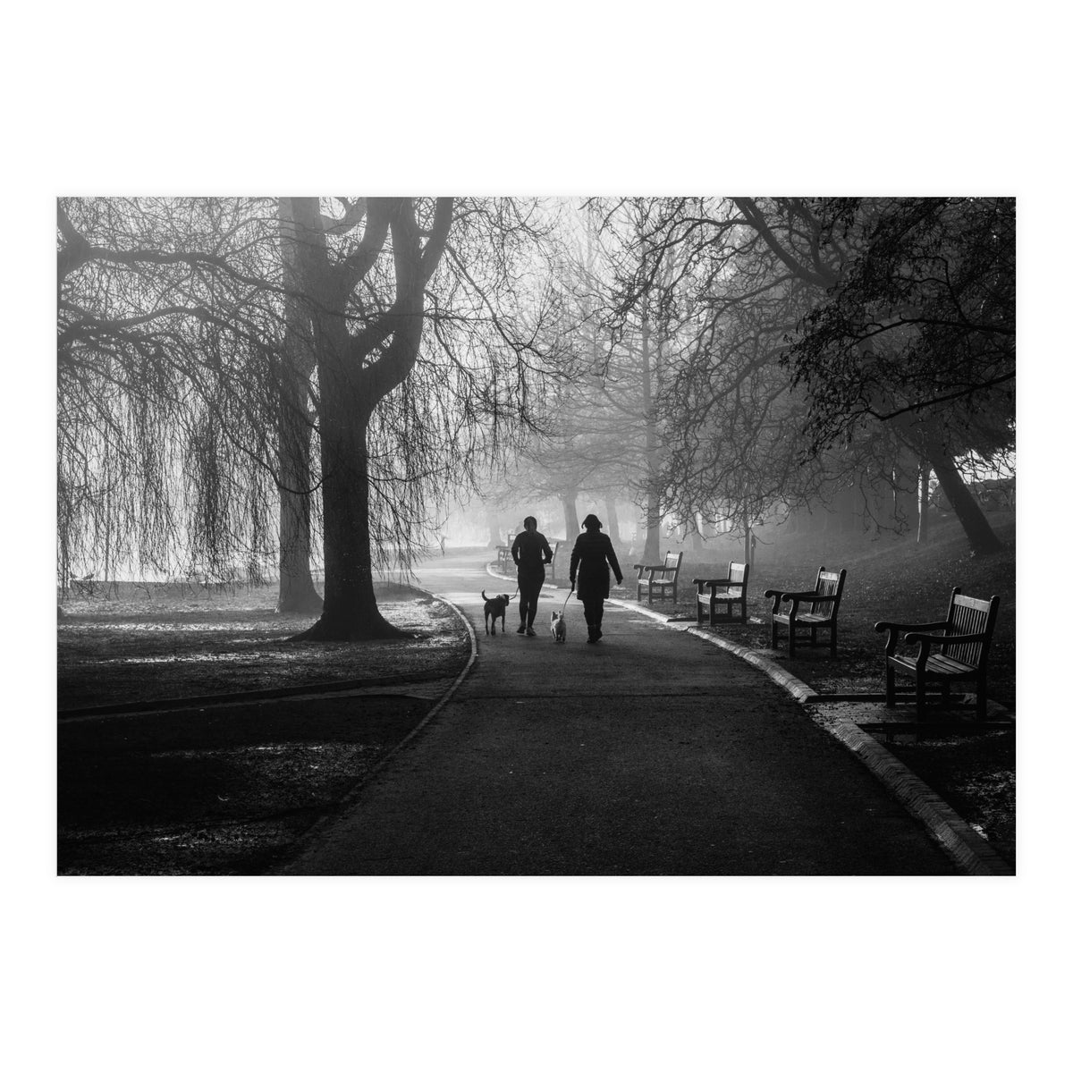 Misty Morning (Print Only)