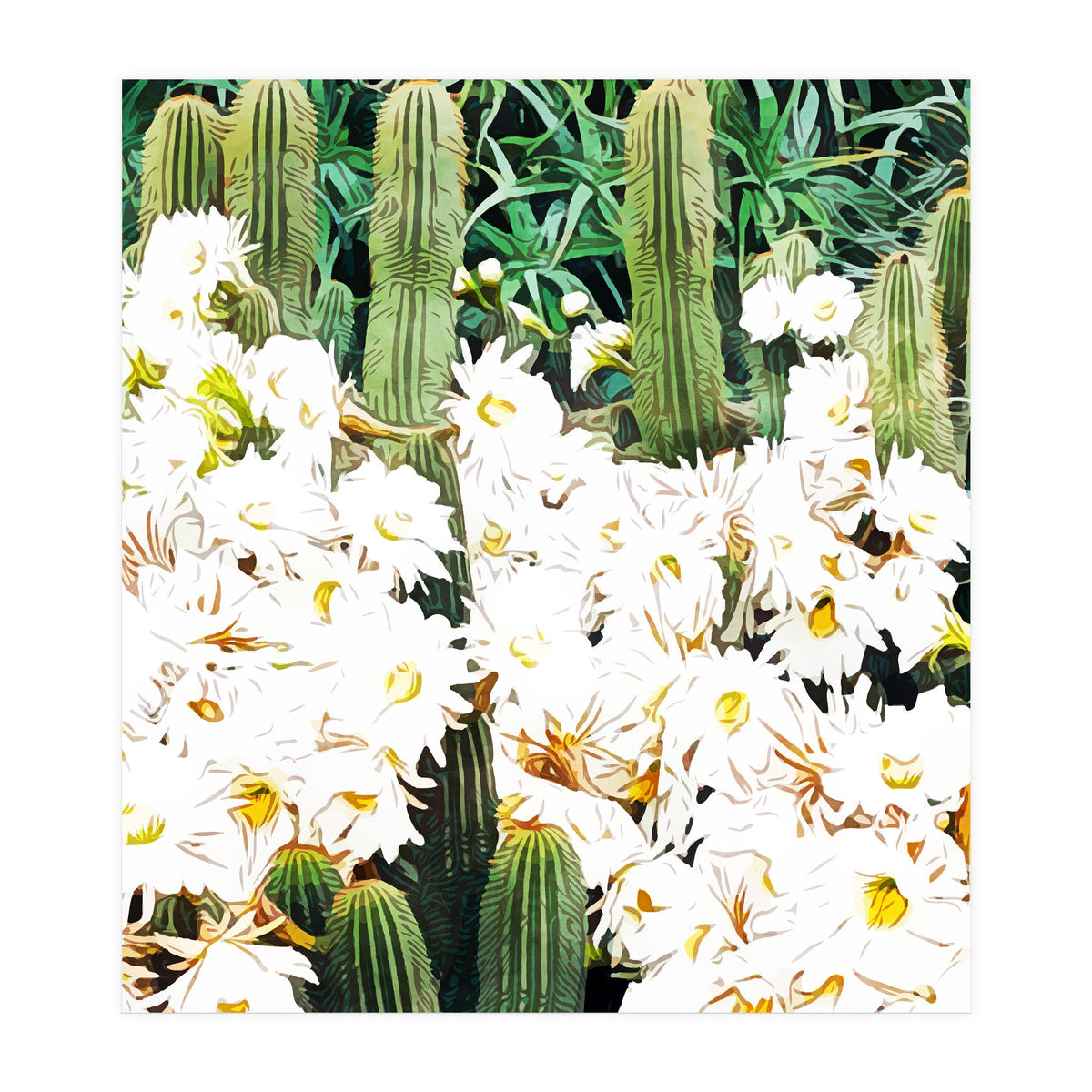 Cactus & Bloom (Print Only)