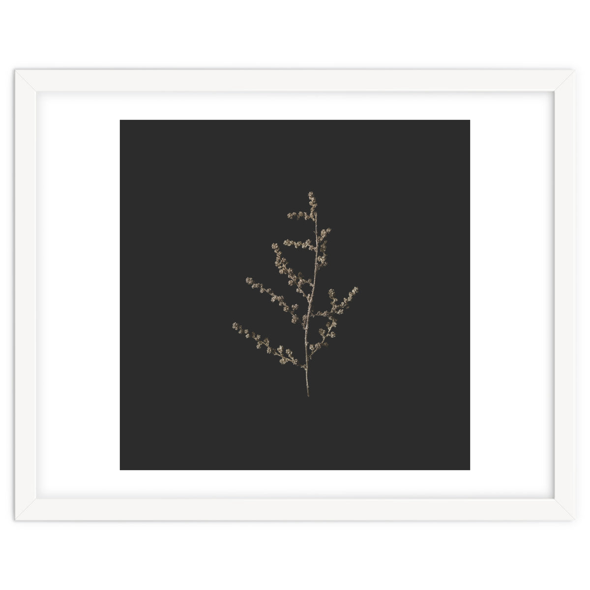 Dainty Botanicals in Gold and Black - Square