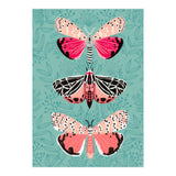 Lepidoptery Study No. 6 (Print Only) thumbnail