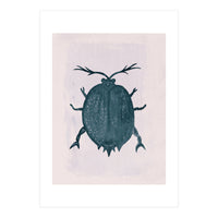 Beetle 2 (Print Only)