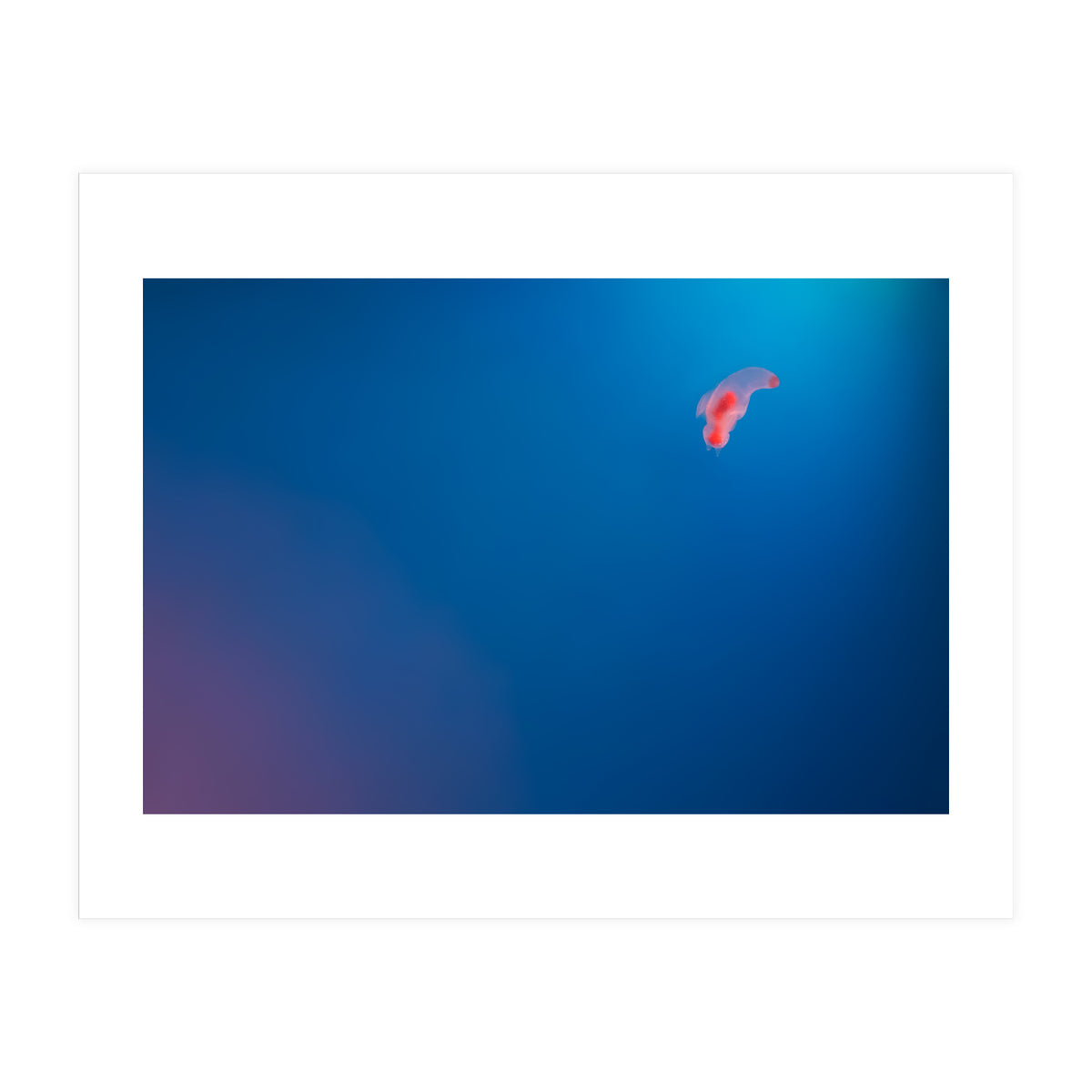 Absolute Zero (Print Only)