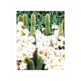 Cactus & Bloom (Print Only) thumbnail