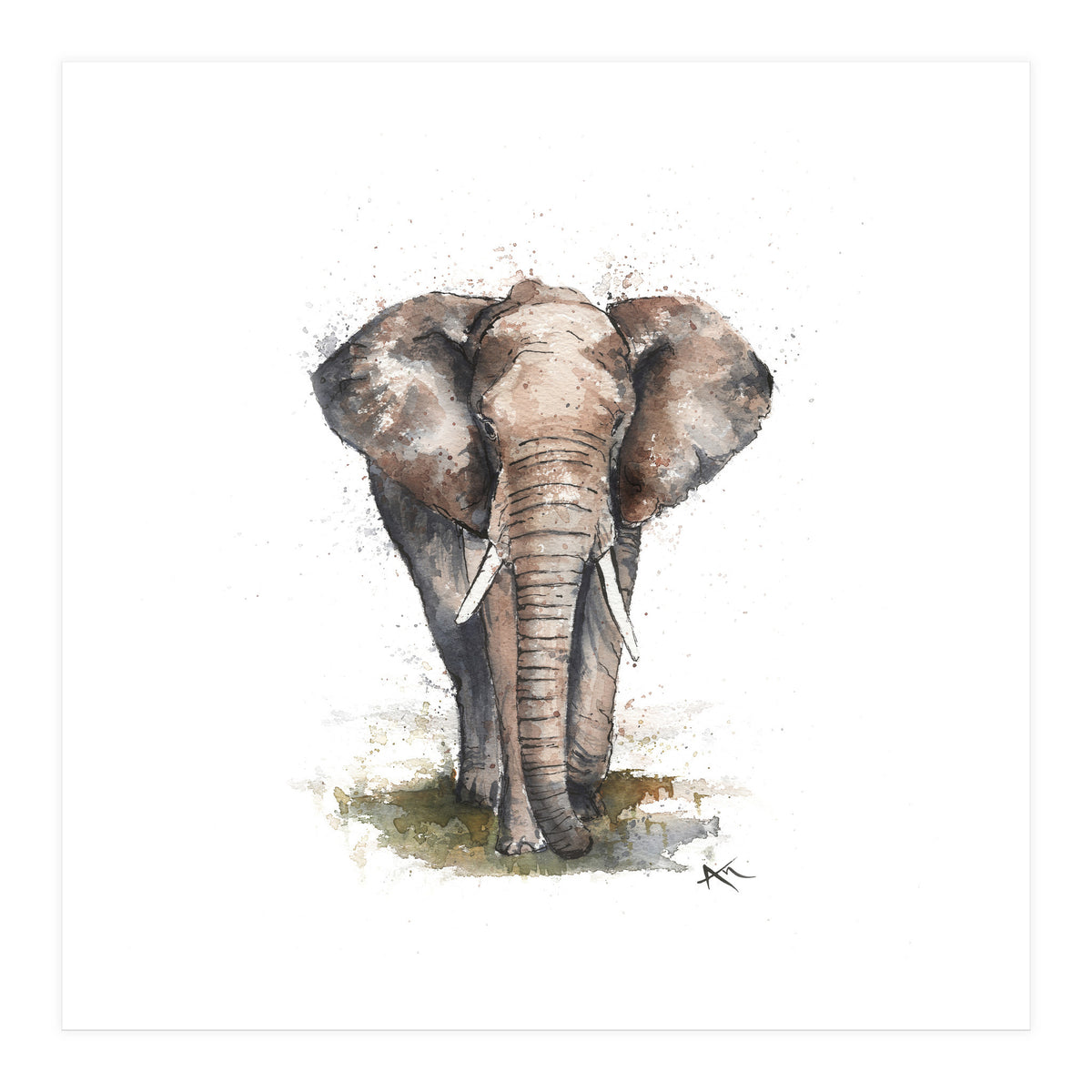 Elephant - Wildlife Collection (Print Only)