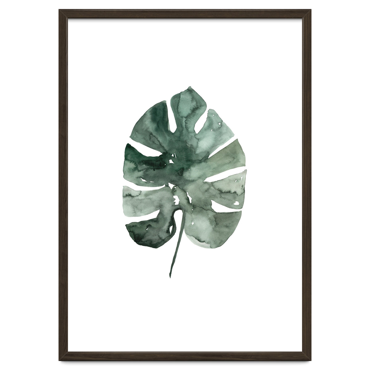 Botanical Illustration Monstera Leaf