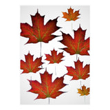 Autumn  leaves (Print Only) thumbnail
