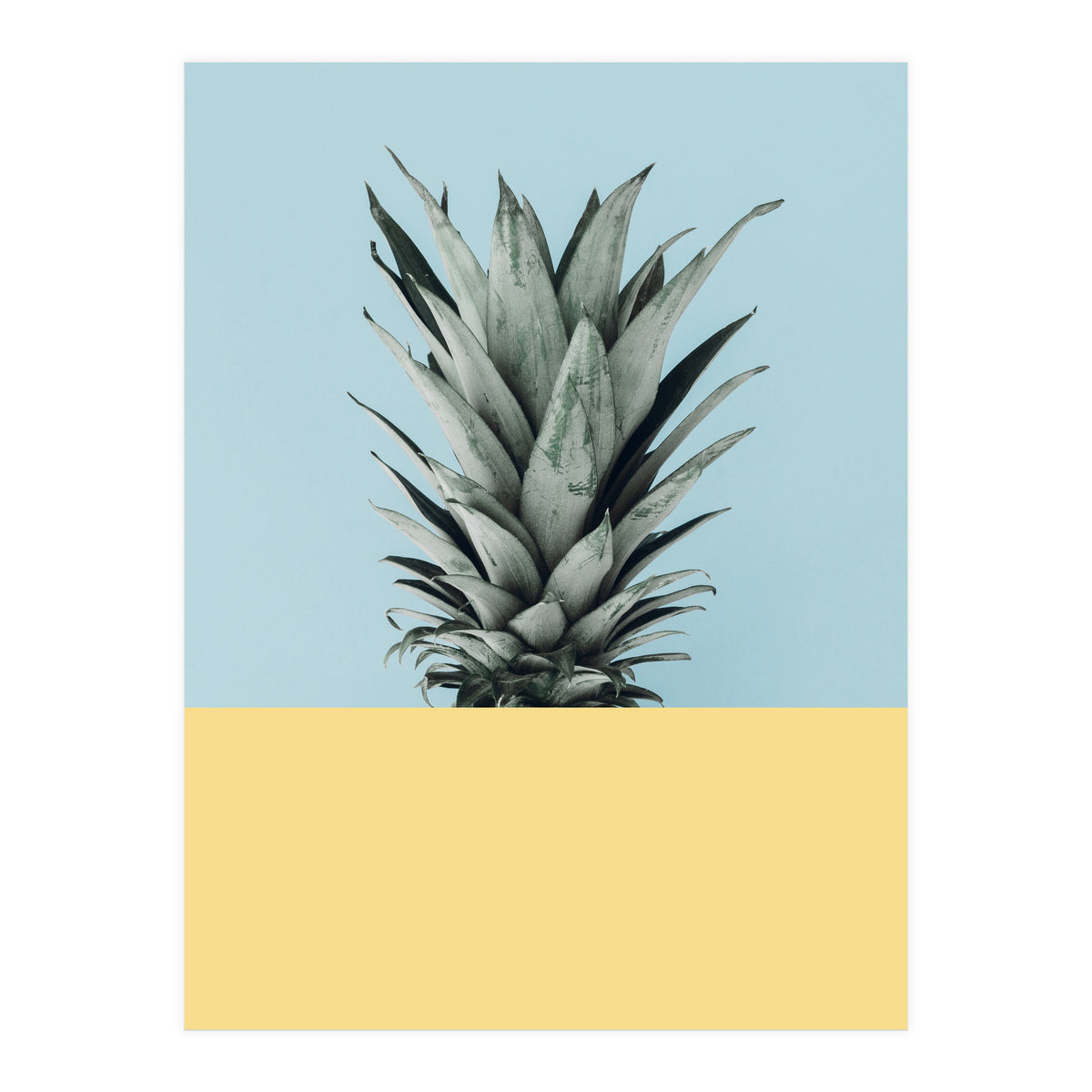 Scandinavian pineapple III (Print Only)
