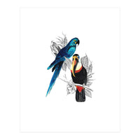 The Toucan and the Parrot (Print Only)