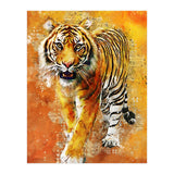 Tiger (Print Only) thumbnail