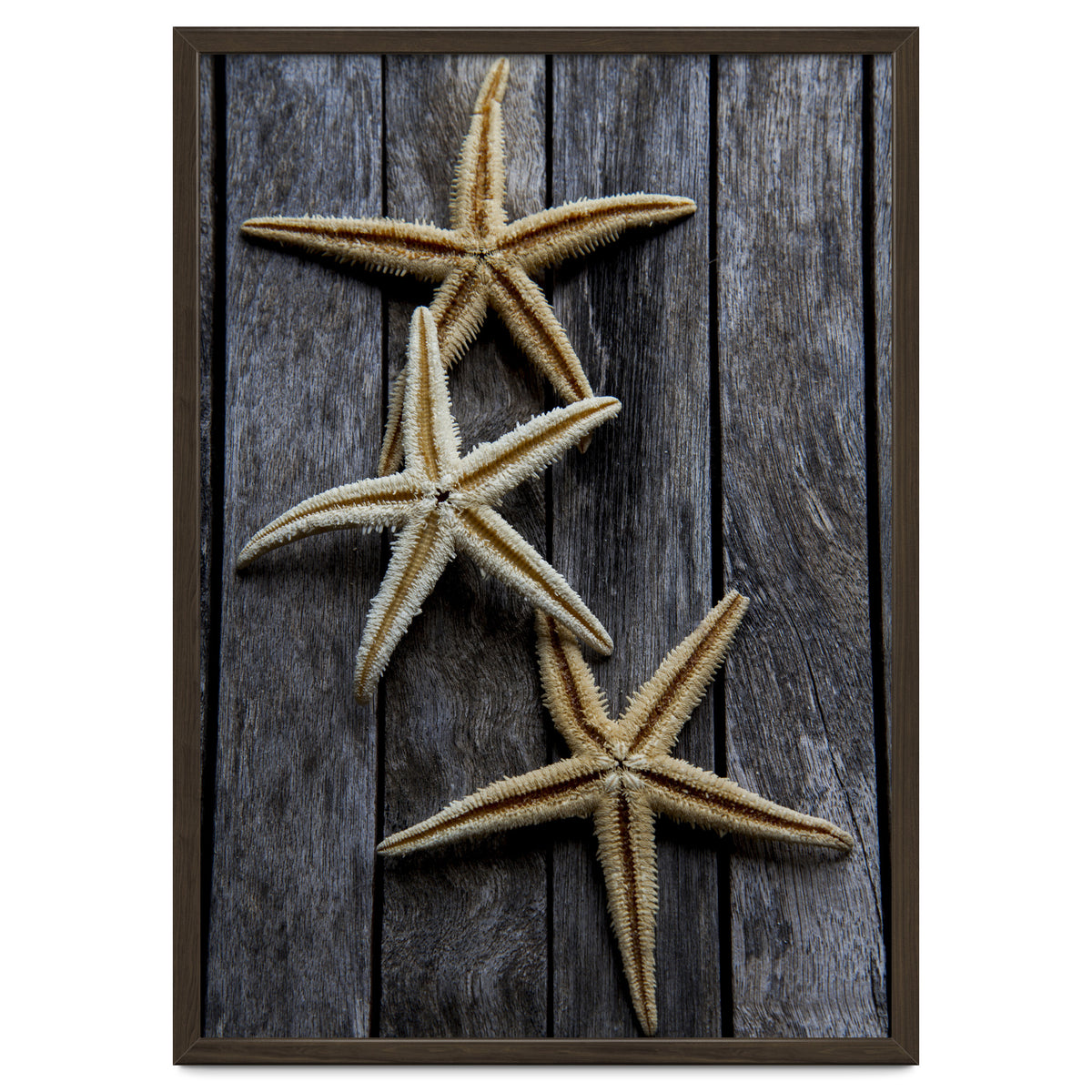 Starfishes in wooden