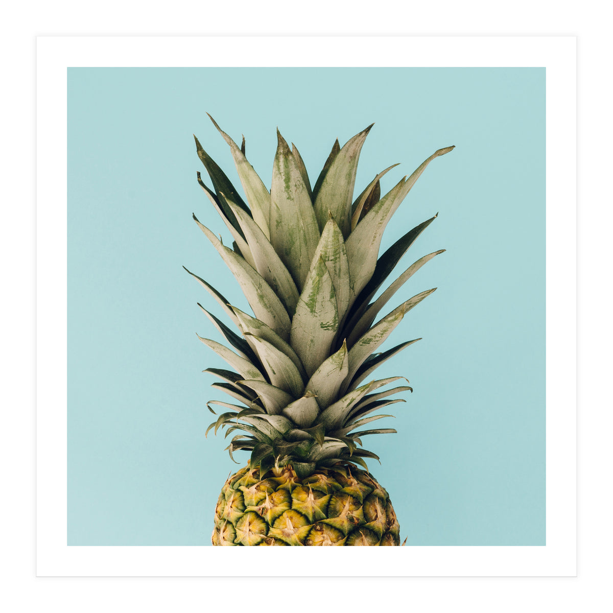 Pineapple On Blue Background (Print Only)