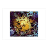 Plunge (Print Only) thumbnail