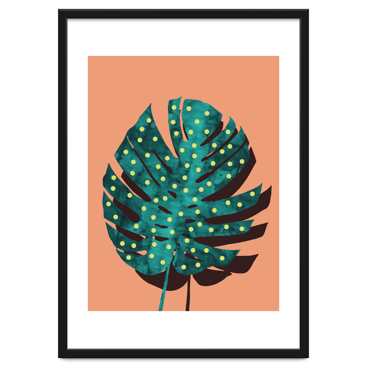 Monstera Deliciosa IV