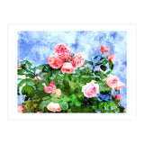 Love Planted A Rose & The Whole World Turned Sweet (Print Only) thumbnail