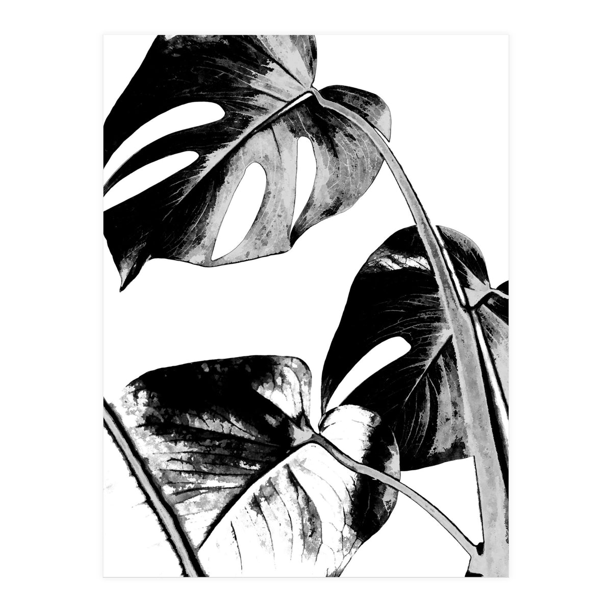 Black Tropical Leaves  (Print Only)