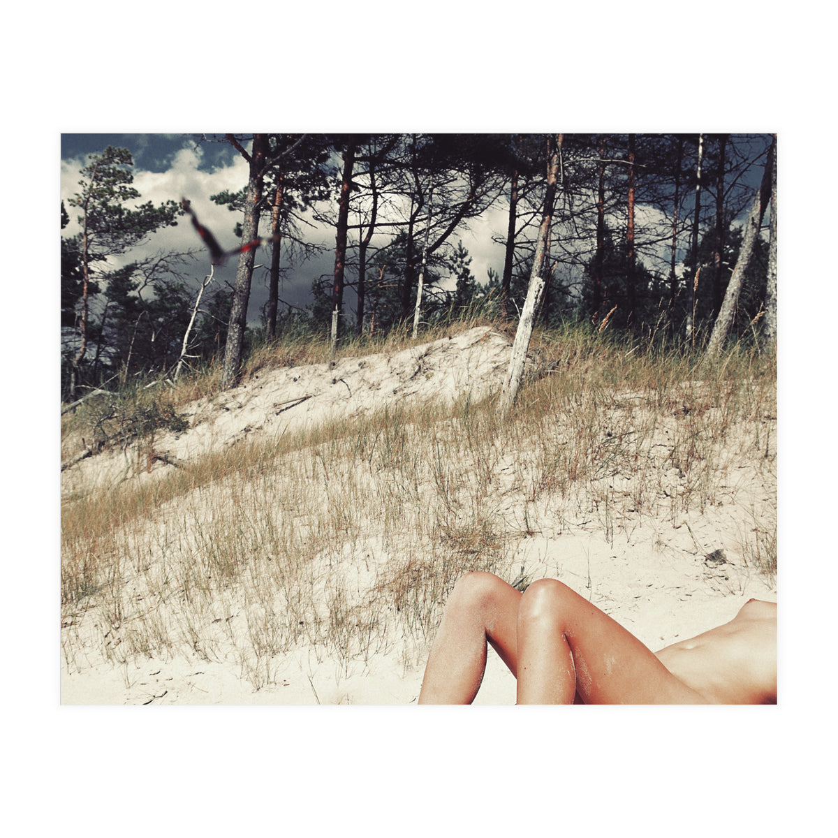 Vacation Postcard (Print Only)