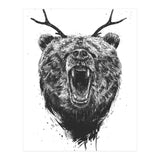 Angry Bear With Antlers (Print Only) thumbnail